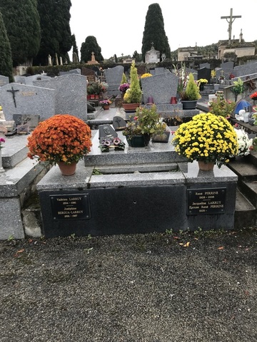 Fleurs d’Hommage pour la Toussaint